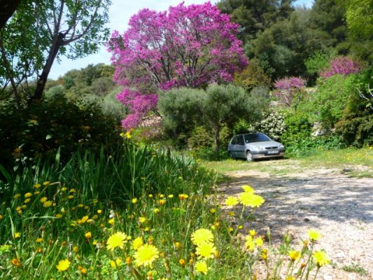 terrassement sur TOULON et réutilisation des roches pour création murs